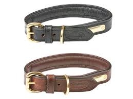 4 Tips for Choosing the Perfect Leather Dog Collar